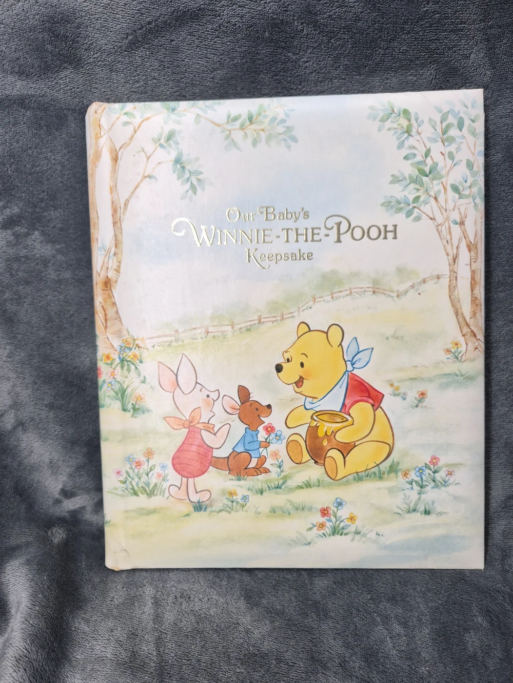 Winnie The Pooh